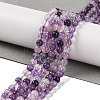 Natural Purple Fluorite Beads Strands G-P530-B08-01-1