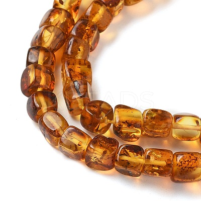 Natural Amber Beads Strands G-K387-E01-01-1