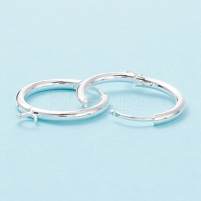 201 Stainless Steel Huggie Hoop Earring Findings STAS-P283-01S-S-1