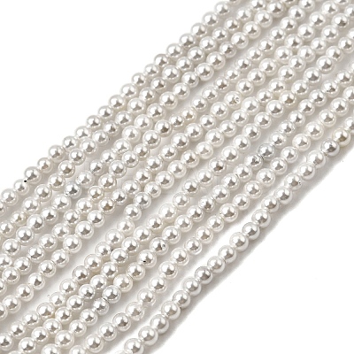 Electroplated Shell Pearl Beads Strands BSHE-K017-2mm-1
