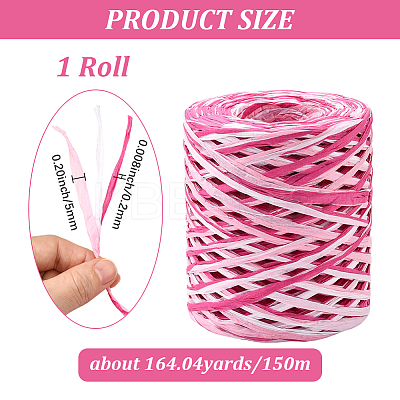 Segment Dyed Raffia Paper Cords for DIY Craft OCOR-WH20020-27A-1
