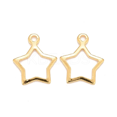 201 Stainless Steel Charms LS-STAS-K217-05G-1
