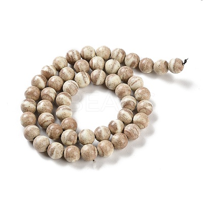 Natural Rainbow Alashan Agate Beads Strands G-NH0022-A10-02-1