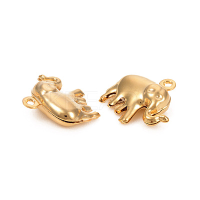 304 Stainless Steel Charms STAS-L244-07G-1
