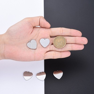 Tarnish Resistant 304 Stainless Steel Pendants STAS-I140-06S-1