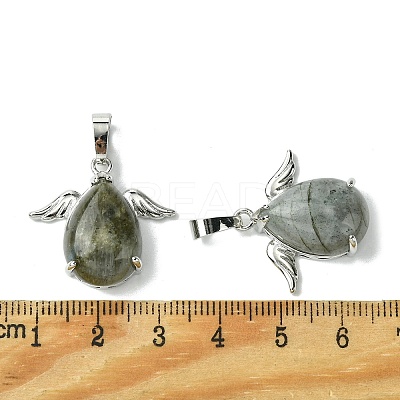 Natural Labradorite Pendants G-C114-05P-06-1
