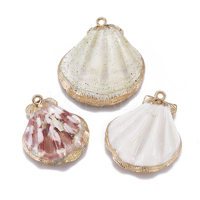 Electroplate Shell Pendants SSHEL-O019-04-1