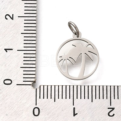 304 Stainless Steel Charms STAS-Z119-16P-1
