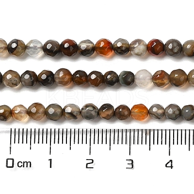 Natural Agate Beads Strands X-G-H302-A01-03-1