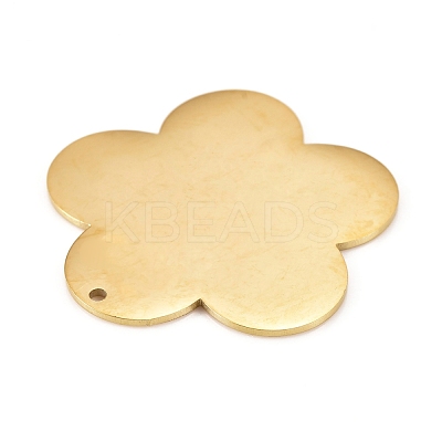 304 Stainless Steel Pendants STAS-L238-097A-G-1