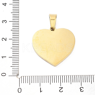 304 Stainless Steel Charms LS-STAS-M341-01G-05-1