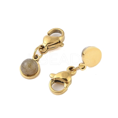 Ion Plating(IP) 316 Surgical Stainless Steel Pendant Decorations STAS-A097-04G-11-1