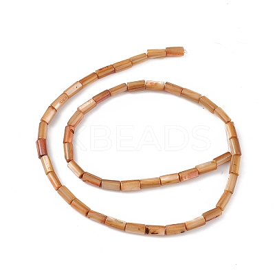 Natural Freshwater Shell Dyed Beads Strands SHEL-M018-11-11-1