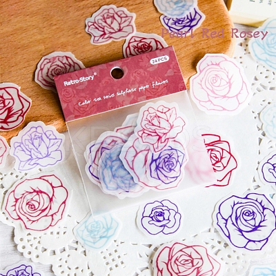 24Pcs Picture Stickers STIC-M004-05E-1