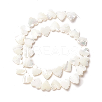 Natural Trochid Shell/Trochus Shell Beads SSHEL-O001-27C-1