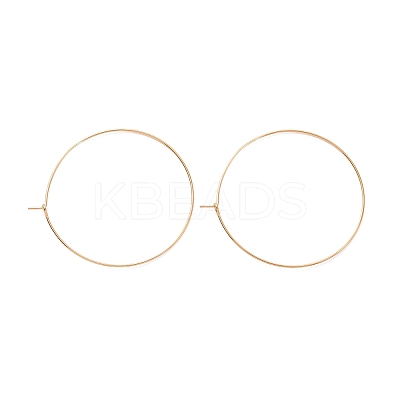 Ion Plating(IP) 316L Surgical Stainless Steel Hoop Earring Findings LS-STAS-D164-06G-A-1