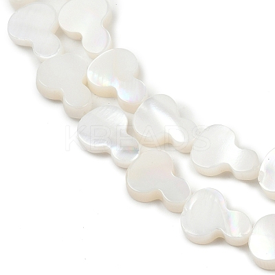 Natural Freshwater Shell Beads Strands SHEL-K010-02A-1
