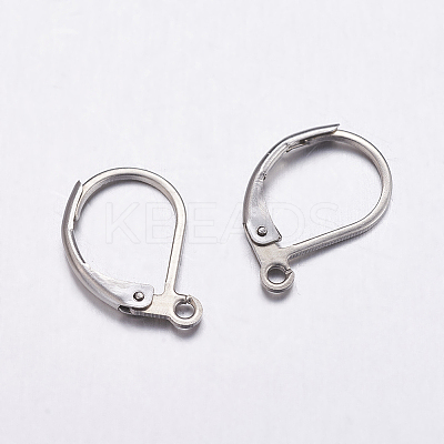 Tarnish Resistant 304 Stainless Steel Leverback Earring Findings LS-STAS-K146-035-15.5mm-1