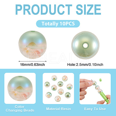 10Pcs Resin Beads PACR-TA0001-33D-1