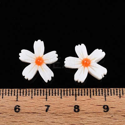 Natural Freshwater Shell Beads Strands SHEL-F004-04-01-1