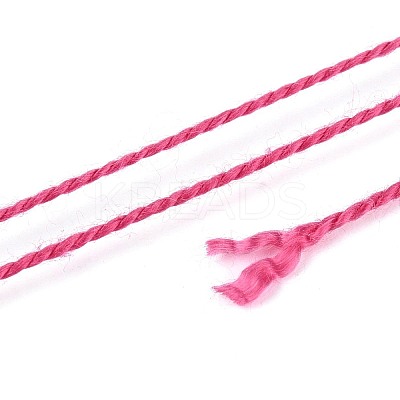 Braided Polyester Cord OCOR-T017-04A-31-1