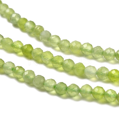 Natural Xiuyan Jade Beads Strands G-Z074-A04-02-1