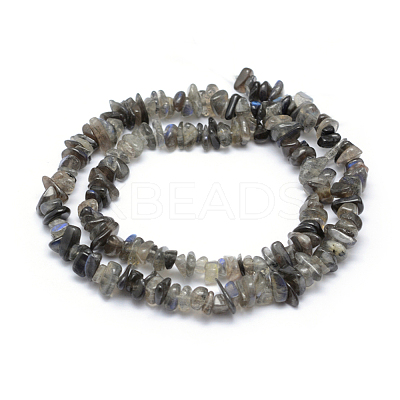 Natural Labradorite Beads Strands G-P332-54-1
