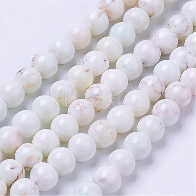 Natural Magnesite Bead Strands G-P286-10-6mm-1