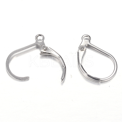 Tarnish Resistant 304 Stainless Steel Leverback Earring Findings STAS-M217-03-1