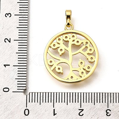 Rack Plating Brass Micro Pave Cubic Zirconia Pendants KK-L226-051G-04-1