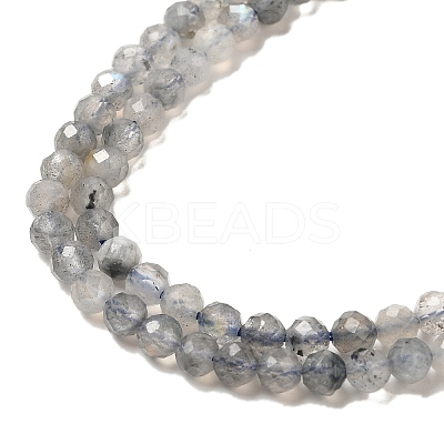 Natural Rainbow Moonstone Beads Strands LS-G-R475-025D-1