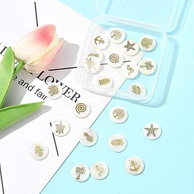 22Pcs 11 Styles Natural Freshwater Shell Pendants SHEL-FS0001-14-1