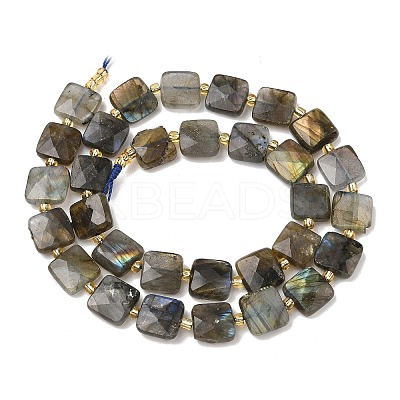 Natural Labradorite Beads Strands G-L642-L02-10mm-1