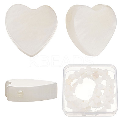 3 Strands Natural Freshwater Shell Beads Strands SHEL-CN0001-01-1