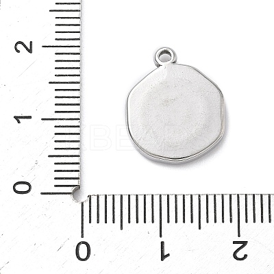 304 Stainless Steel Pendants STAS-K291-12P-01-1