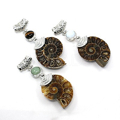 Gemstone Fossil Snail Big Pendants G-F062-M-1
