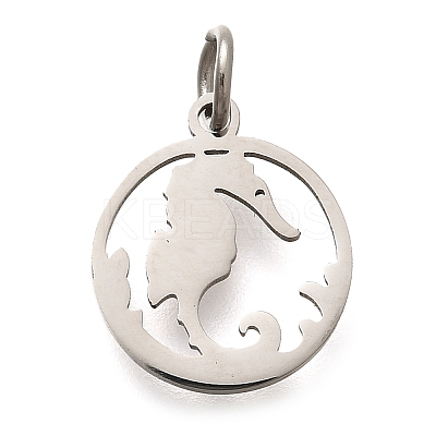 304 Stainless Steel Charms STAS-Z119-06P-1