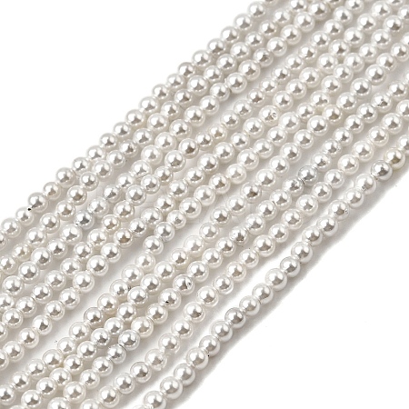 Electroplated Shell Pearl Beads Strands BSHE-K017-2mm-1