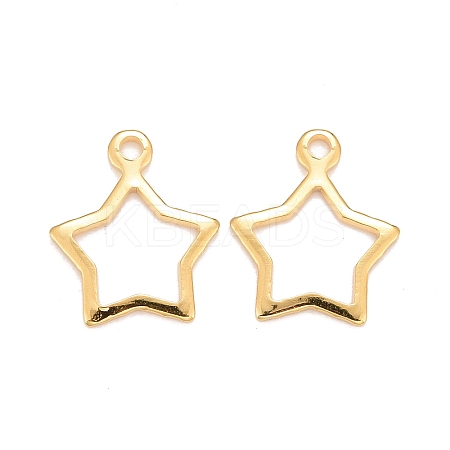 201 Stainless Steel Charms LS-STAS-K217-05G-1
