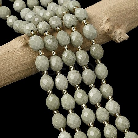 Natural Alashan Agate Beads Strands G-F809-A10-01-1