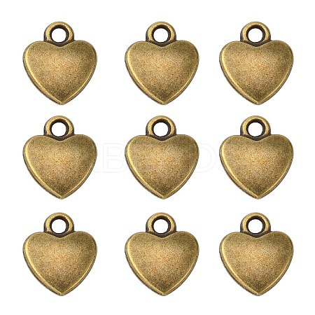 Tibetan Style Alloy Charms LS-MLF1170Y-1