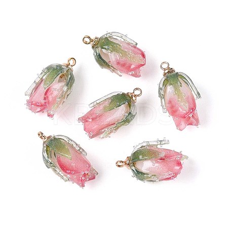 Transparent Acrylic Pendants X1-SACR-T017-53B-1