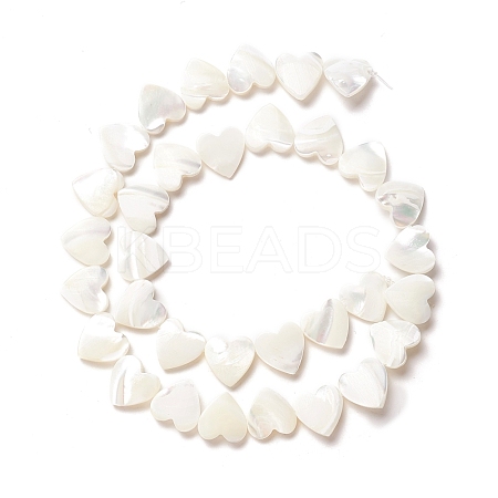 Natural Trochid Shell/Trochus Shell Beads SSHEL-O001-27C-1