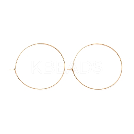 Ion Plating(IP) 316L Surgical Stainless Steel Hoop Earring Findings LS-STAS-D164-06G-A-1