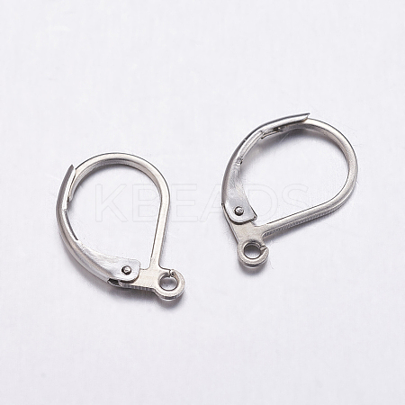 Tarnish Resistant 304 Stainless Steel Leverback Earring Findings LS-STAS-K146-035-15.5mm-1