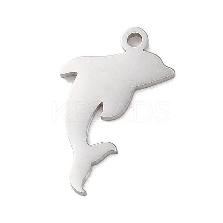Non-Tarnish 304 Stainless Steel Charms STAS-S138-01P-03-1