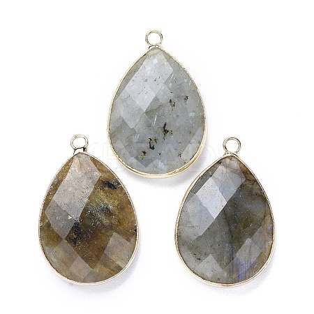 Faceted Natural Labradorite Pendants G-M356-B02-LG-1