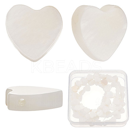 3 Strands Natural Freshwater Shell Beads Strands SHEL-CN0001-01-1
