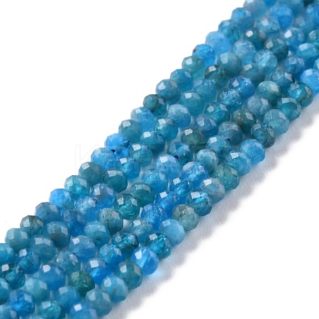 Natural Apatite Beads Strands G-K312-20B-1