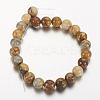 Natural Crazy Lace Agate Round Bead Strands X-G-M272-03-8mm-2